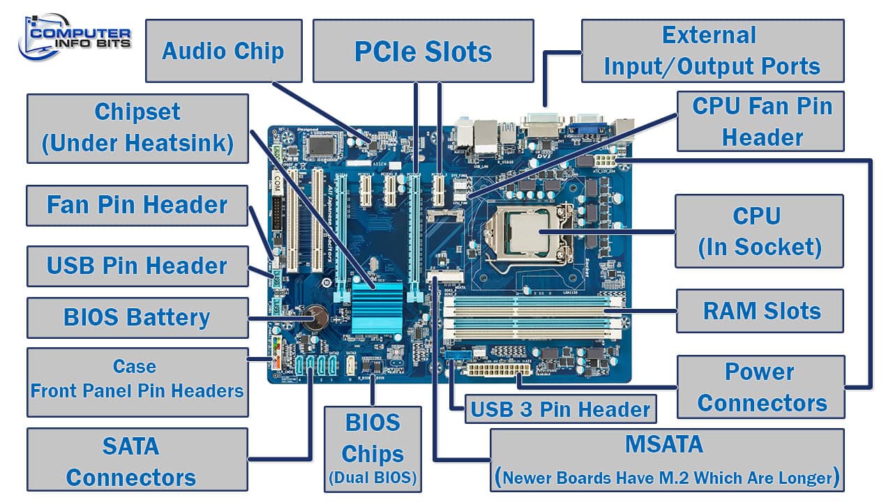 Source: Computer Info Bits
