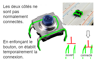 bouton